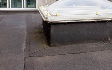 disadvantages of Presdales flat roofs