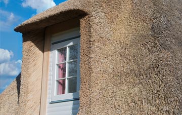 Presdales thatch roof disadvantages